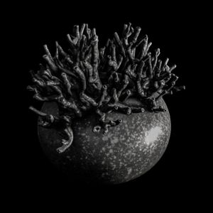 NIGRUM